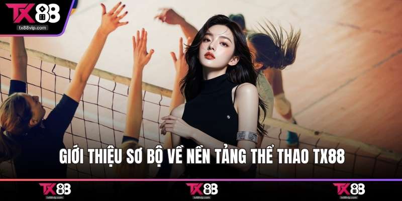 Giới thiệu sơ bộ về nền tảng thể thao TX88