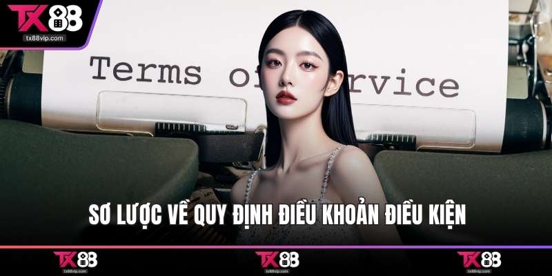 Sơ lược về quy định điều khoản điều kiện