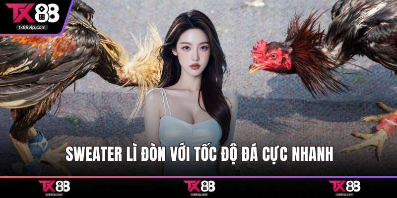 Sweater lì đòn với tốc độ đá cực nhanh