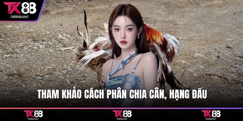 Tham khảo cách phân chia cân, hạng đấu